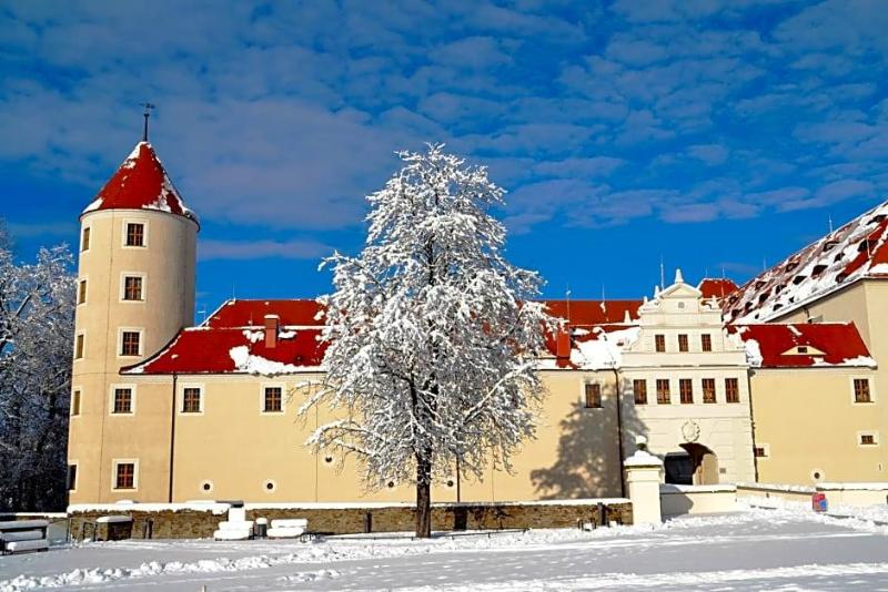 Altstadt Hotel image