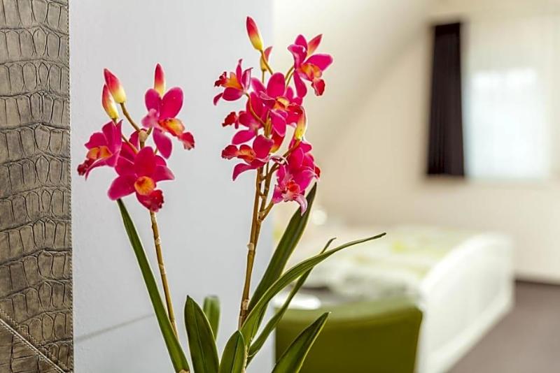 Altstadt Hotel image