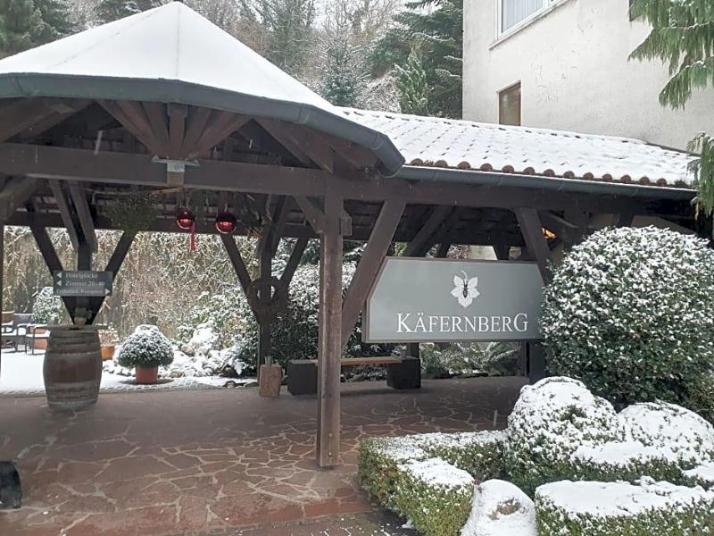 Kv Fernberg Weinhotel image