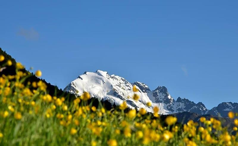Hotel Cima Piazzi image