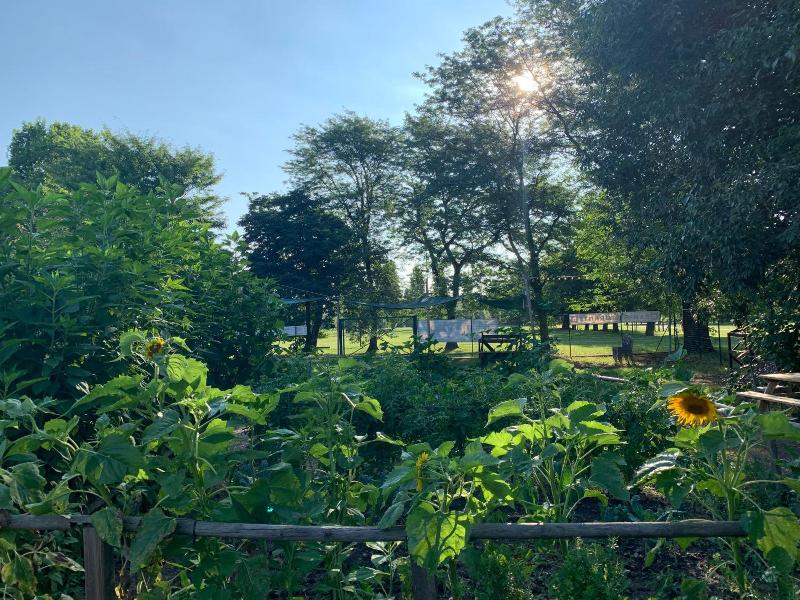 Cascina Bellaria image