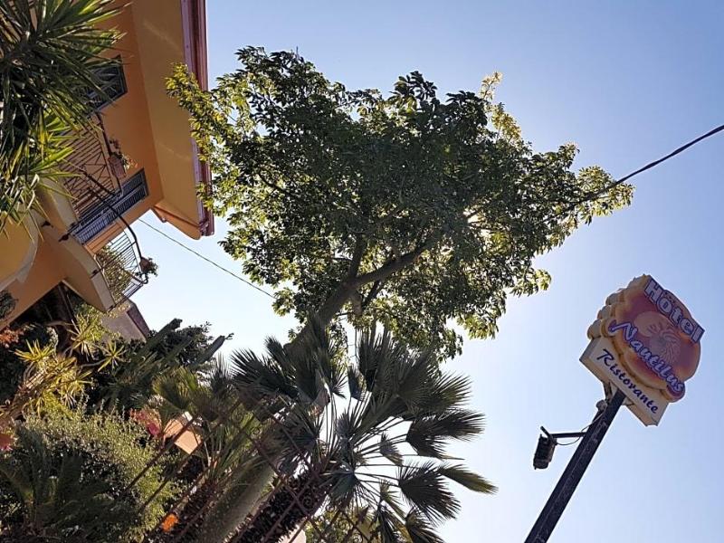 Hotel Nautilus image