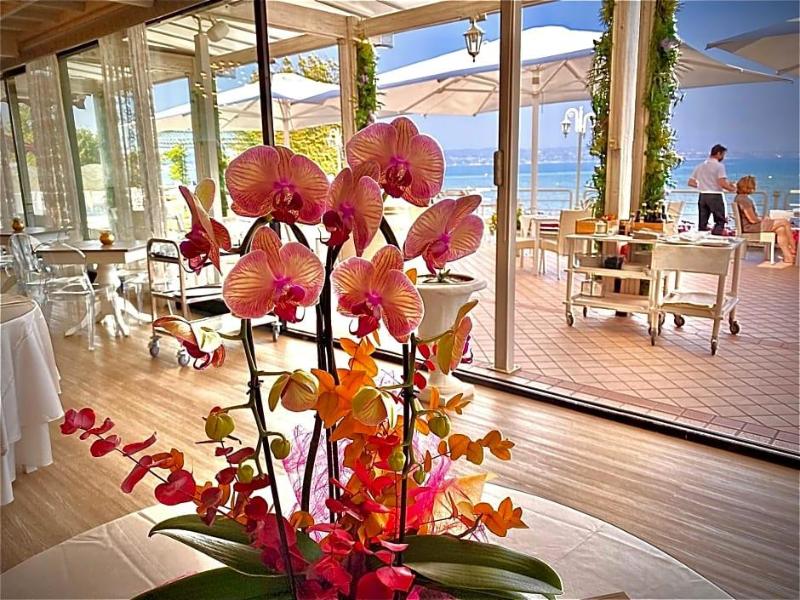 Hotel Aquila D Oro Desenzano image