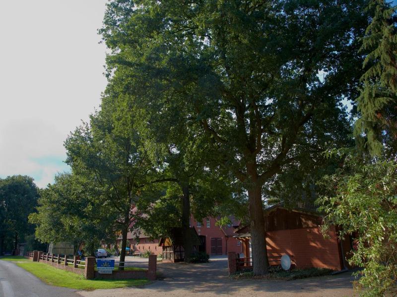 Ferienhof Grovue Drieling image