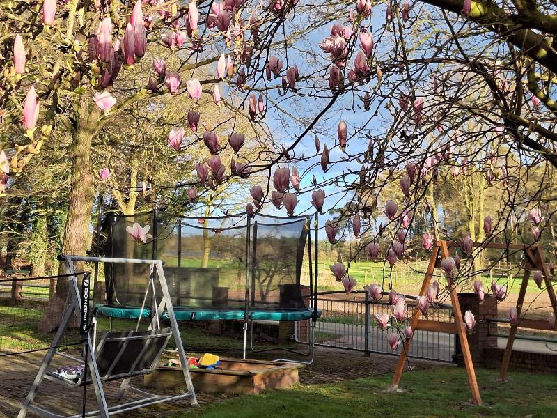 Ferienhof Grovue Drieling image