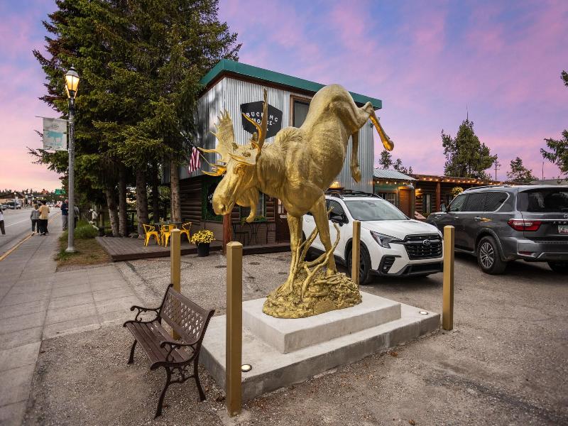 The Bucking Moose image