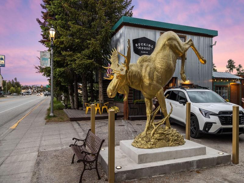 The Bucking Moose image
