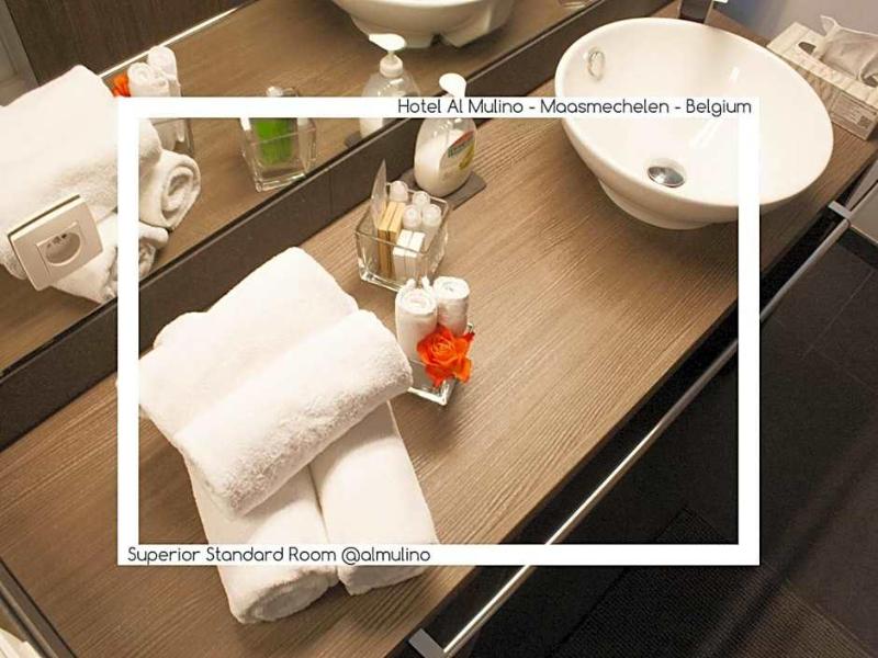Hotel Al Mulino image