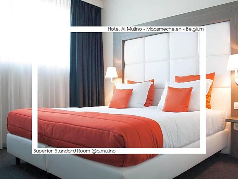 Hotel Al Mulino image