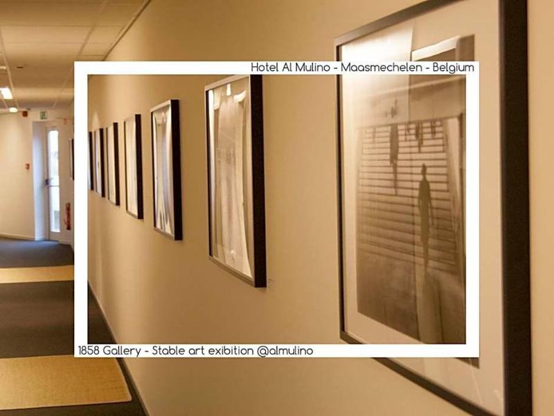 Hotel Al Mulino image