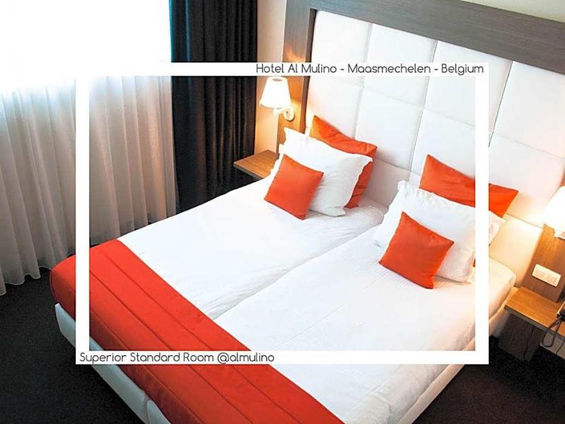 Hotel Al Mulino image
