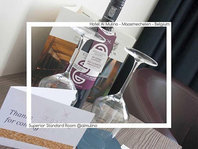 Hotel Al Mulino image