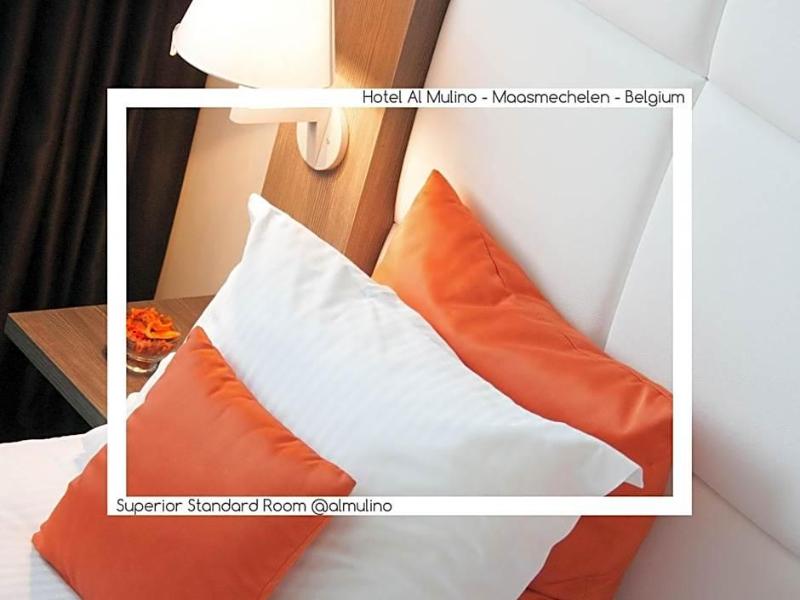 Hotel Al Mulino image