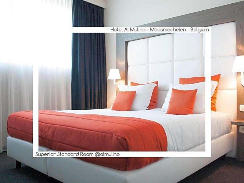 Hotel Al Mulino image