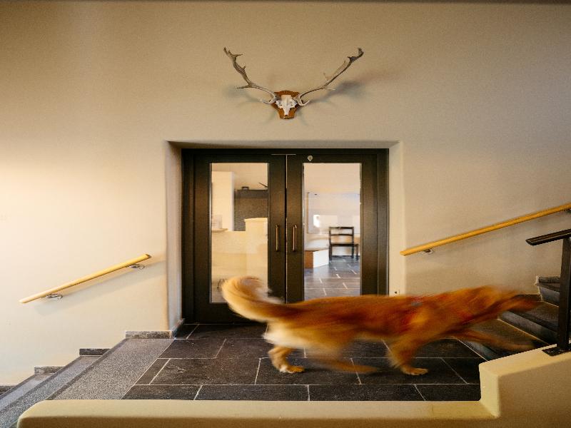 Hotel Blanckthys image