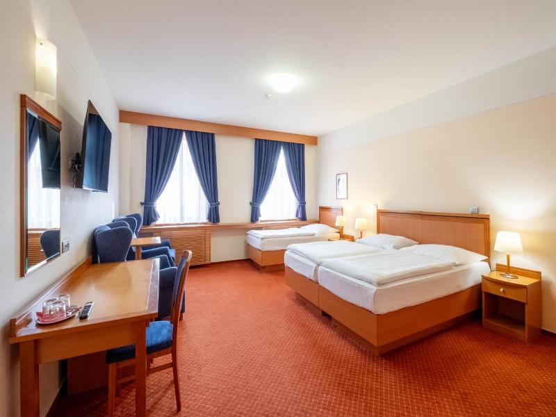 Hotel Slovan image