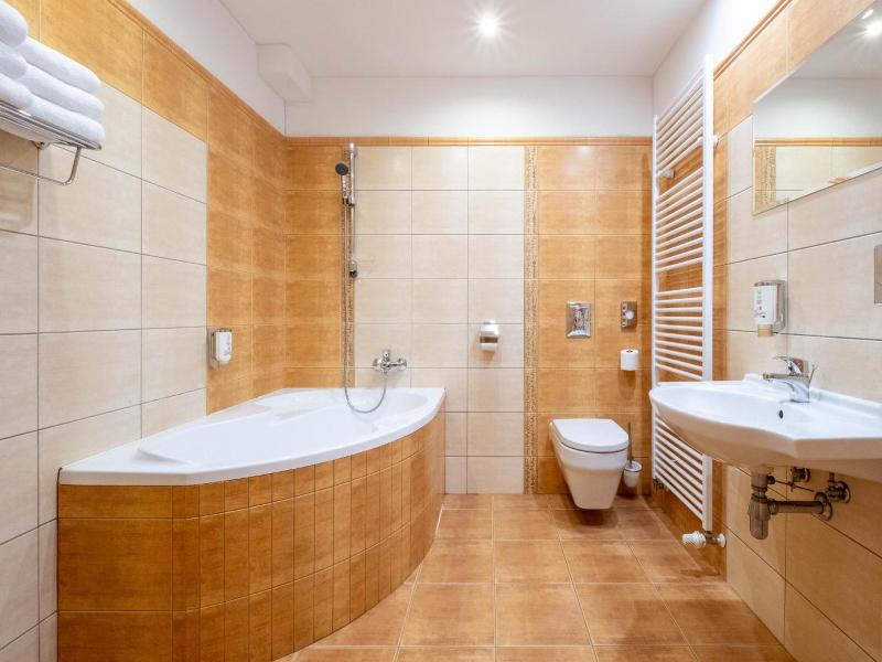 Hotel Slovan image