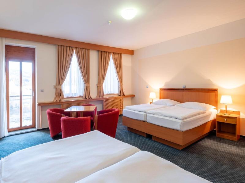 Hotel Slovan image