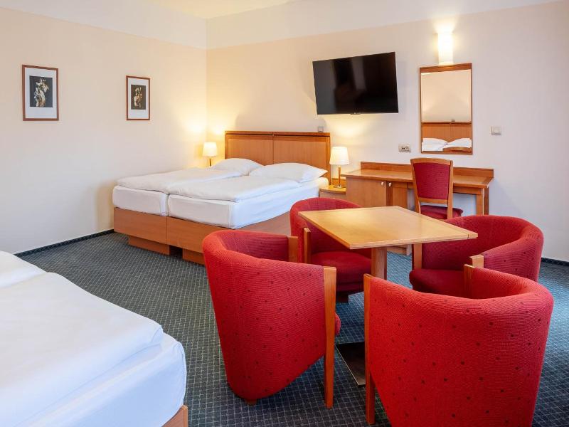 Hotel Slovan image