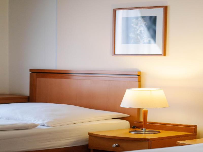Hotel Slovan image