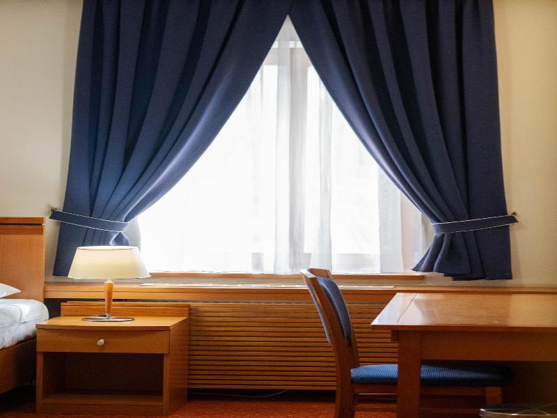 Hotel Slovan image