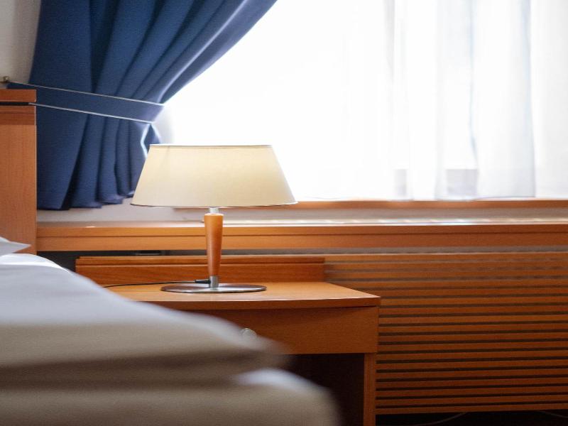 Hotel Slovan image