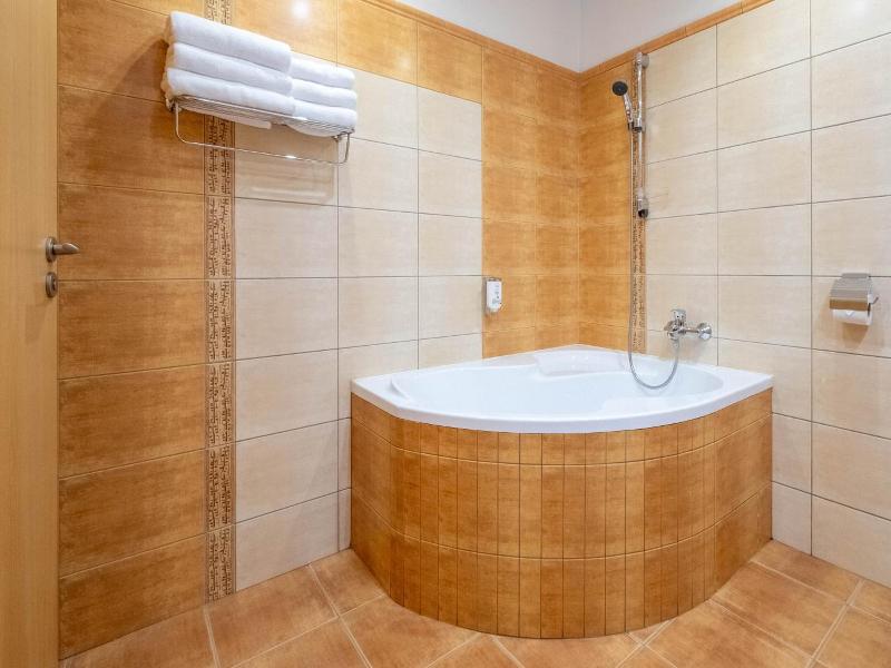 Hotel Slovan image