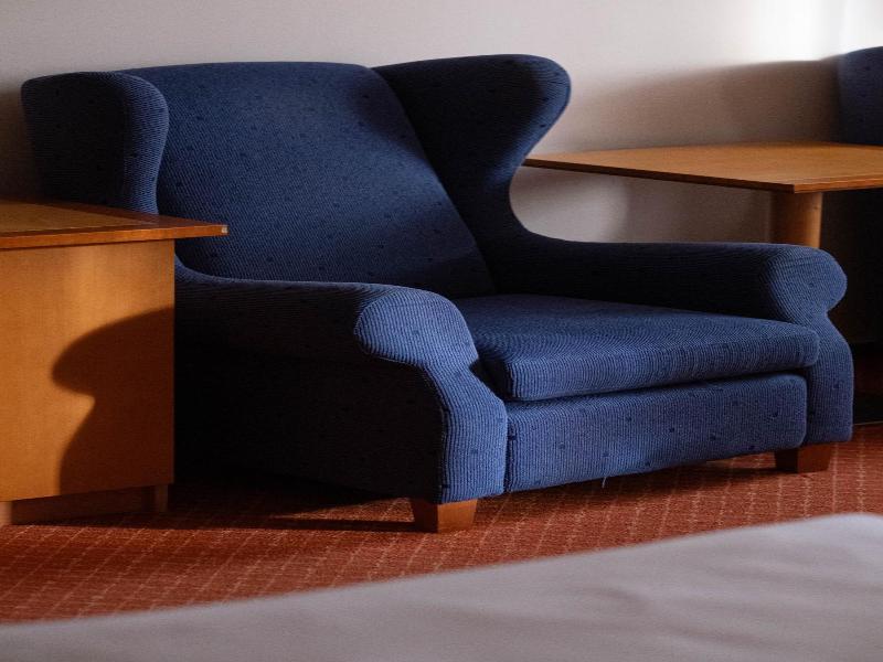 Hotel Slovan image