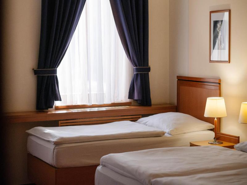 Hotel Slovan image