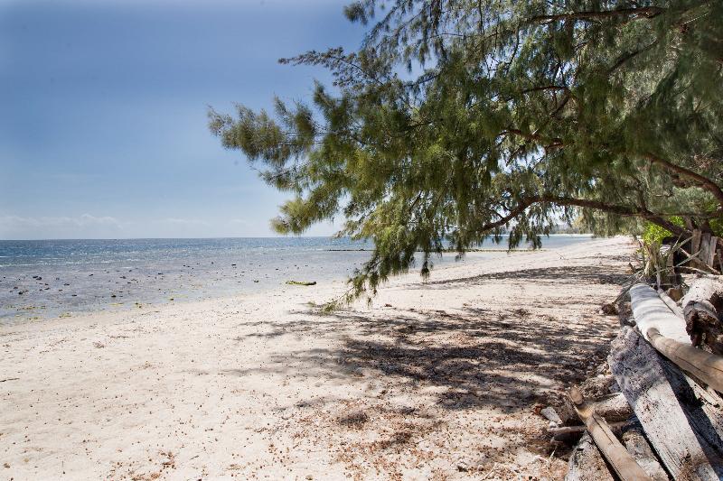 Cemara Beachfront Suite By Zuzu image
