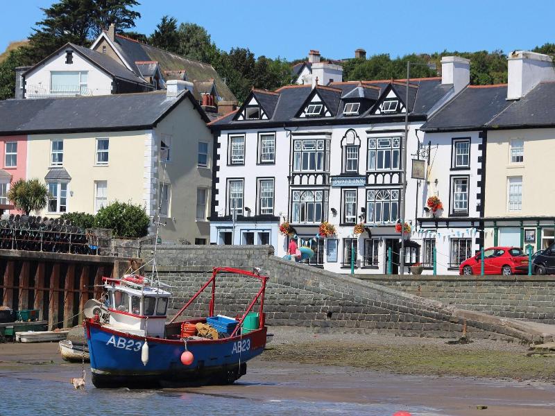 Dovey Inn image