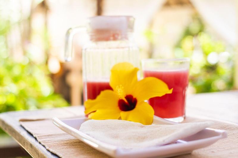 Pousada Hibiscus image