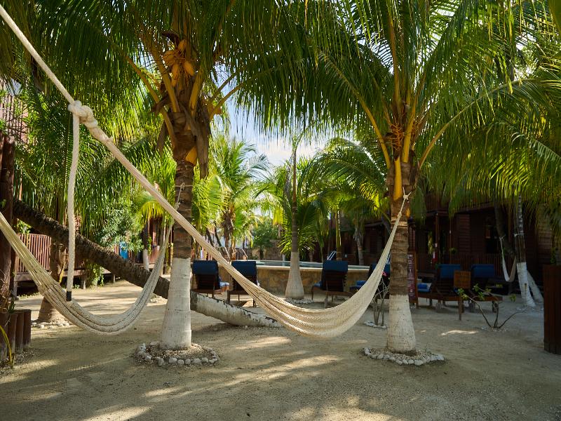 Coconut By ÓOL Hotels