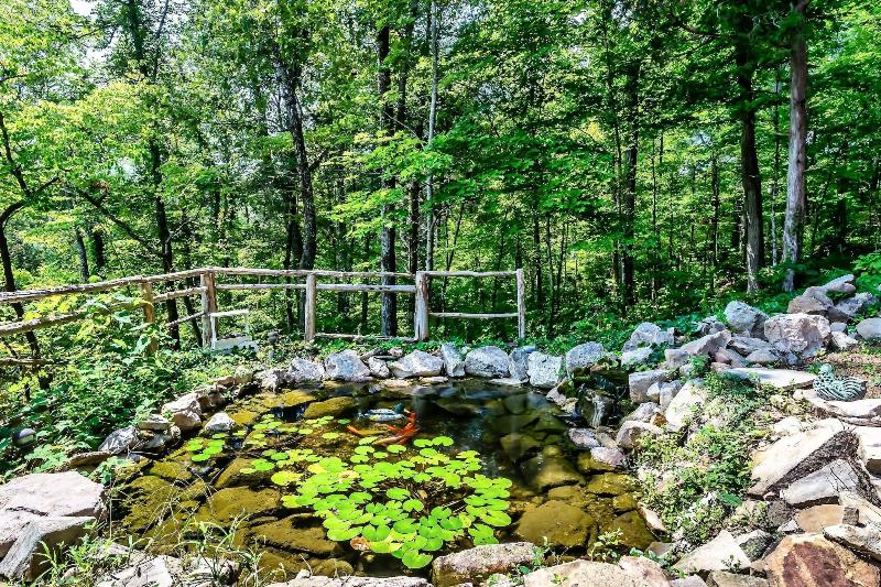 Laurel Valley Mountain Retreat image