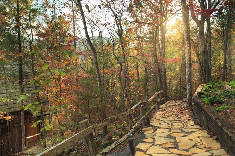Laurel Valley Mountain Retreat image