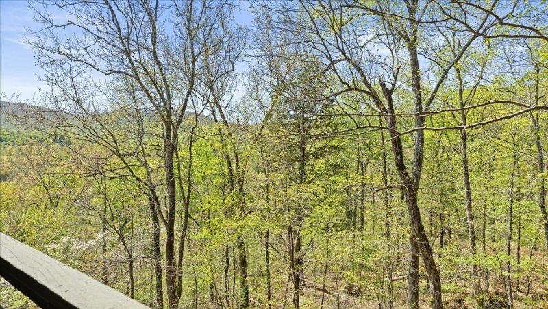 Laurel Valley Mountain Retreat image