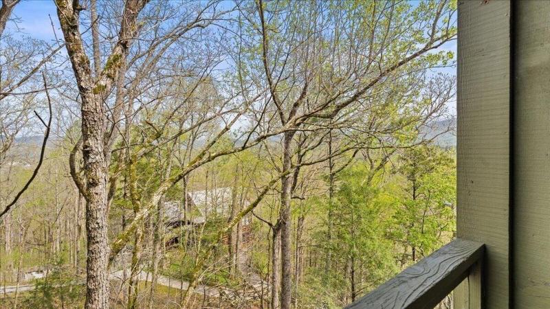 Laurel Valley Mountain Retreat image