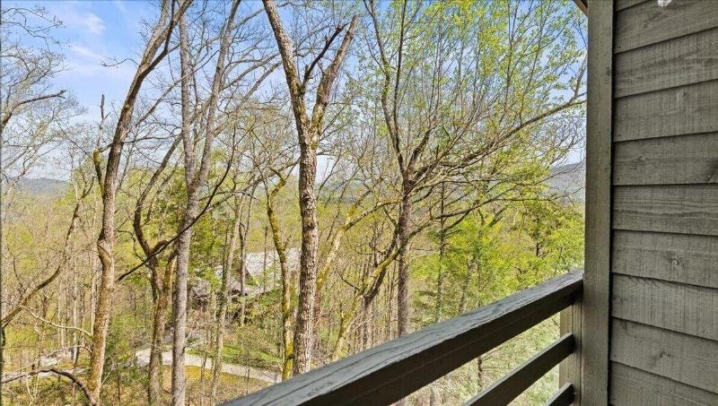 Laurel Valley Mountain Retreat image