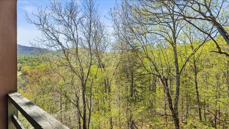 Laurel Valley Mountain Retreat image