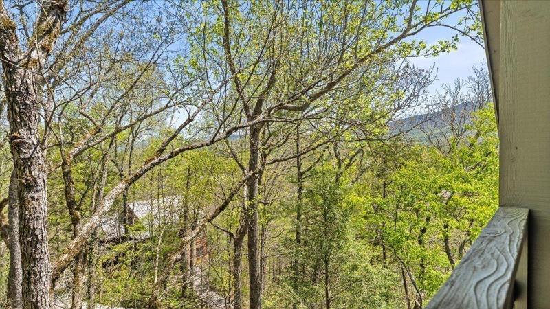 Laurel Valley Mountain Retreat image