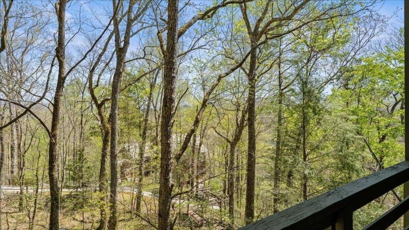 Laurel Valley Mountain Retreat image