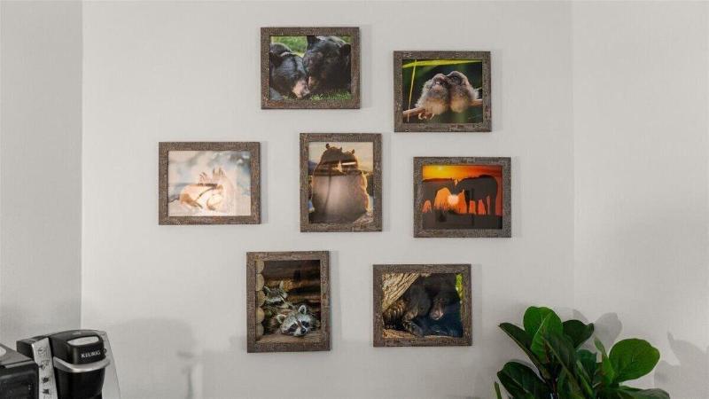 Laurel Valley Mountain Retreat image