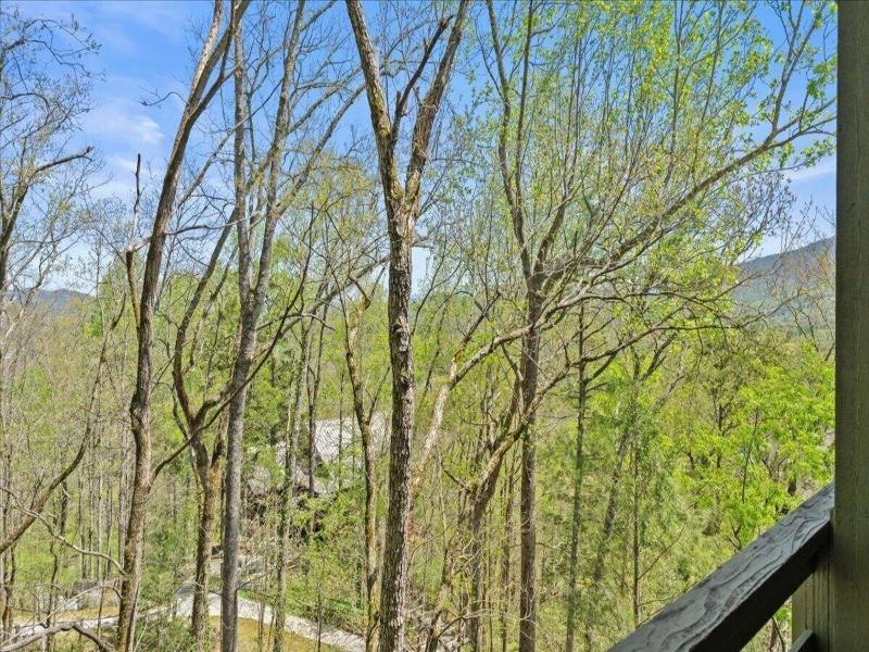 Laurel Valley Mountain Retreat image