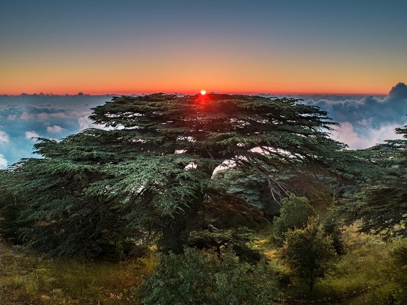 voco Beirut Central District