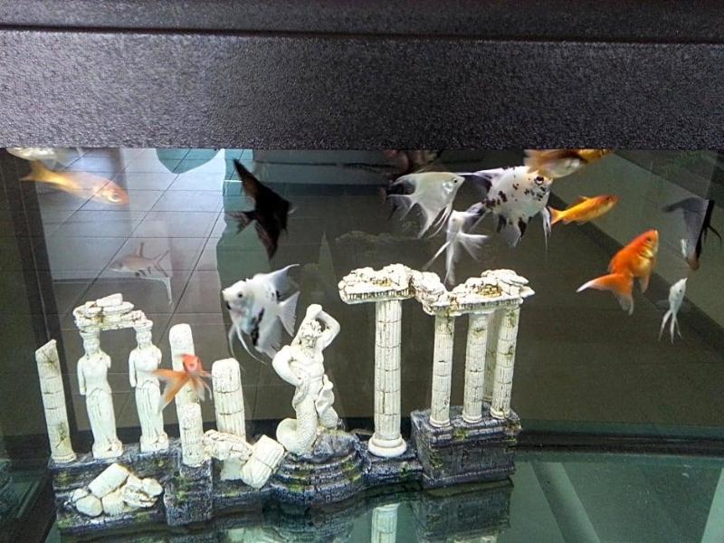 Hotel Poseidon image