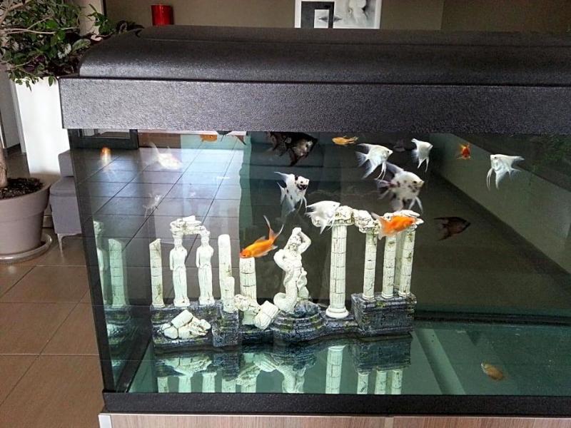 Hotel Poseidon image
