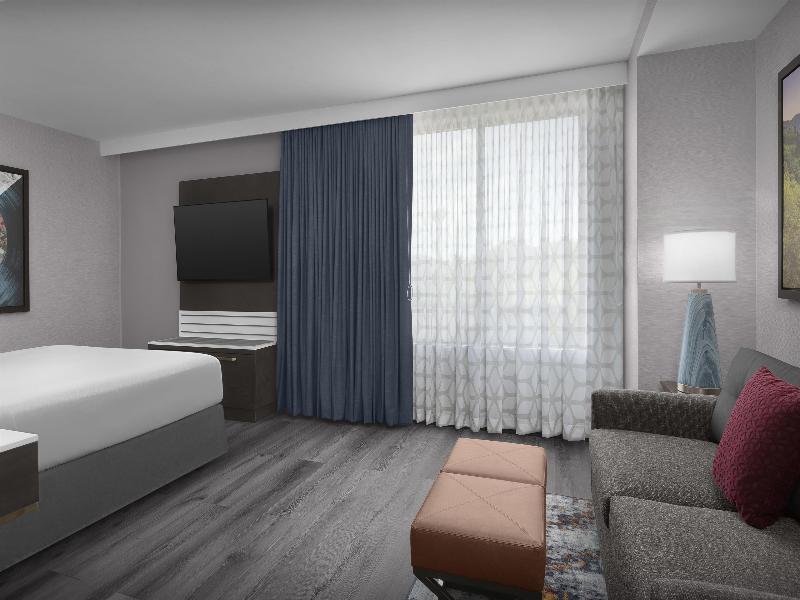 Embassy Suites by Hilton Pigeon Forge Resort image