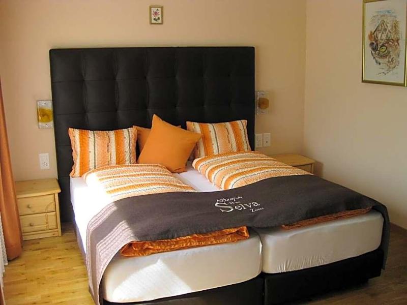 Hotel Pizzeria Selva image