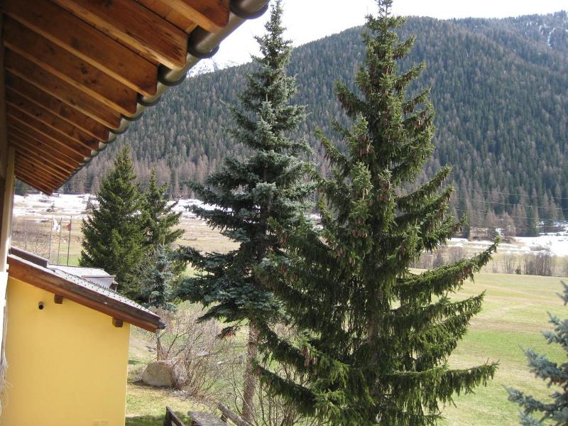 Hotel Pizzeria Selva image