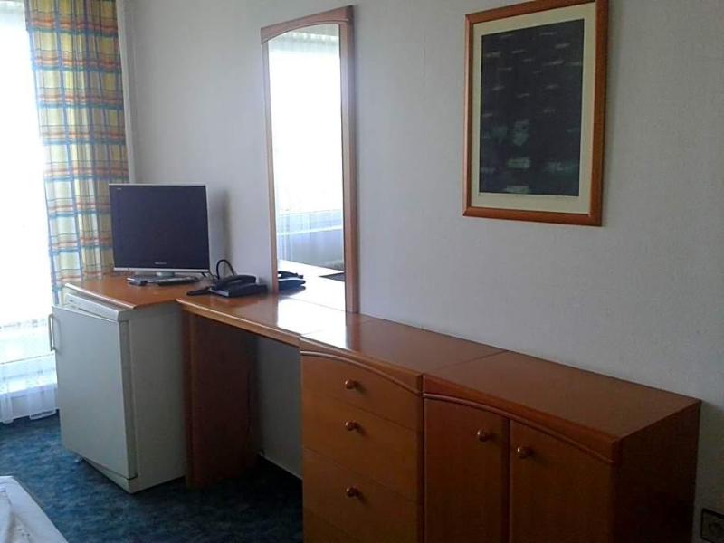 Hotel Slezan image